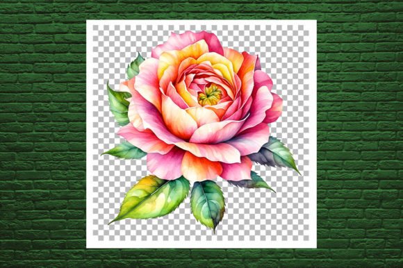 Beautiful Watercolor Flor Rosa Graphic – A Versatile Illustration for Crafters & Etsy Sellers