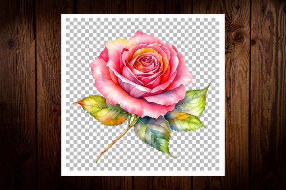 Beautiful Watercolor Rose Calli Graphic: A Versatile Illustration for Lifestyle & Editorial Blogs