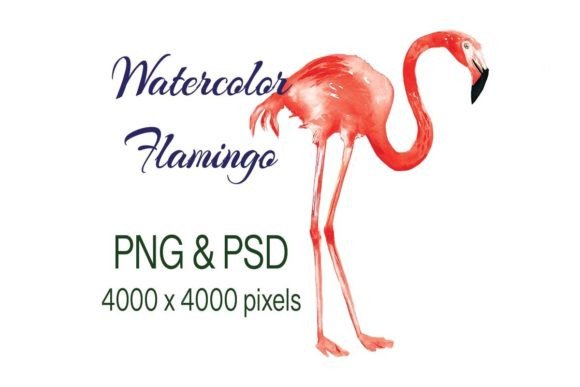 Flamingo Watercolor: A Designer’s Review for Real Client Projects