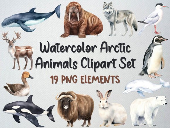 h1Watercolor Arctic Animals Clipart Set for Creative Sellers/h1