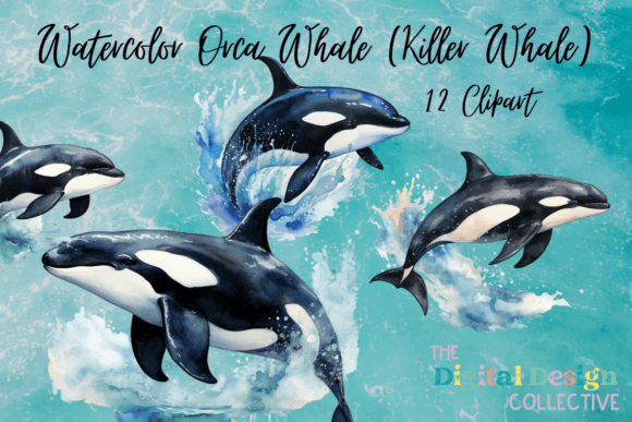 Vintage Orca Watercolor Clipart Bundle for Crafting & Handmade Business