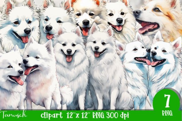 Watercolor American Eskimo Dog Clipart: A Designer’s Review for Real Client Projects