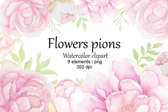 Watercolor Clipart, Peonies, Png