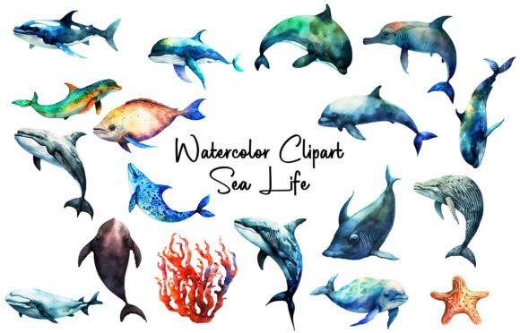 Watercolor Clipart Sea Life: A Designer’s Real-World Review