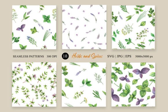 Watercolor Herbs Illustrations Bring Organic Charm to Branding and Print Projects