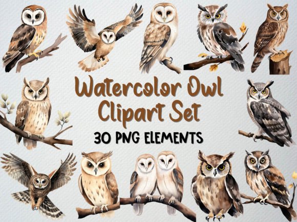 Watercolor Owl Clipart Set, 30 PNG for Etsy & Digital Sellers