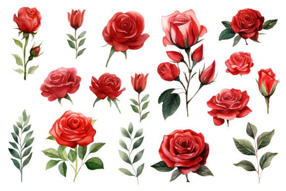 Watercolor Red Roses: A Designer’s Take on Real-World Embroidery Use