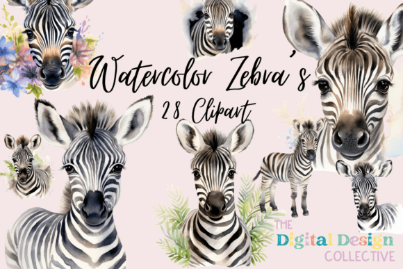 Watercolor Zebra Illustrations: A Fresh Design Asset for Bloggers & Publishers